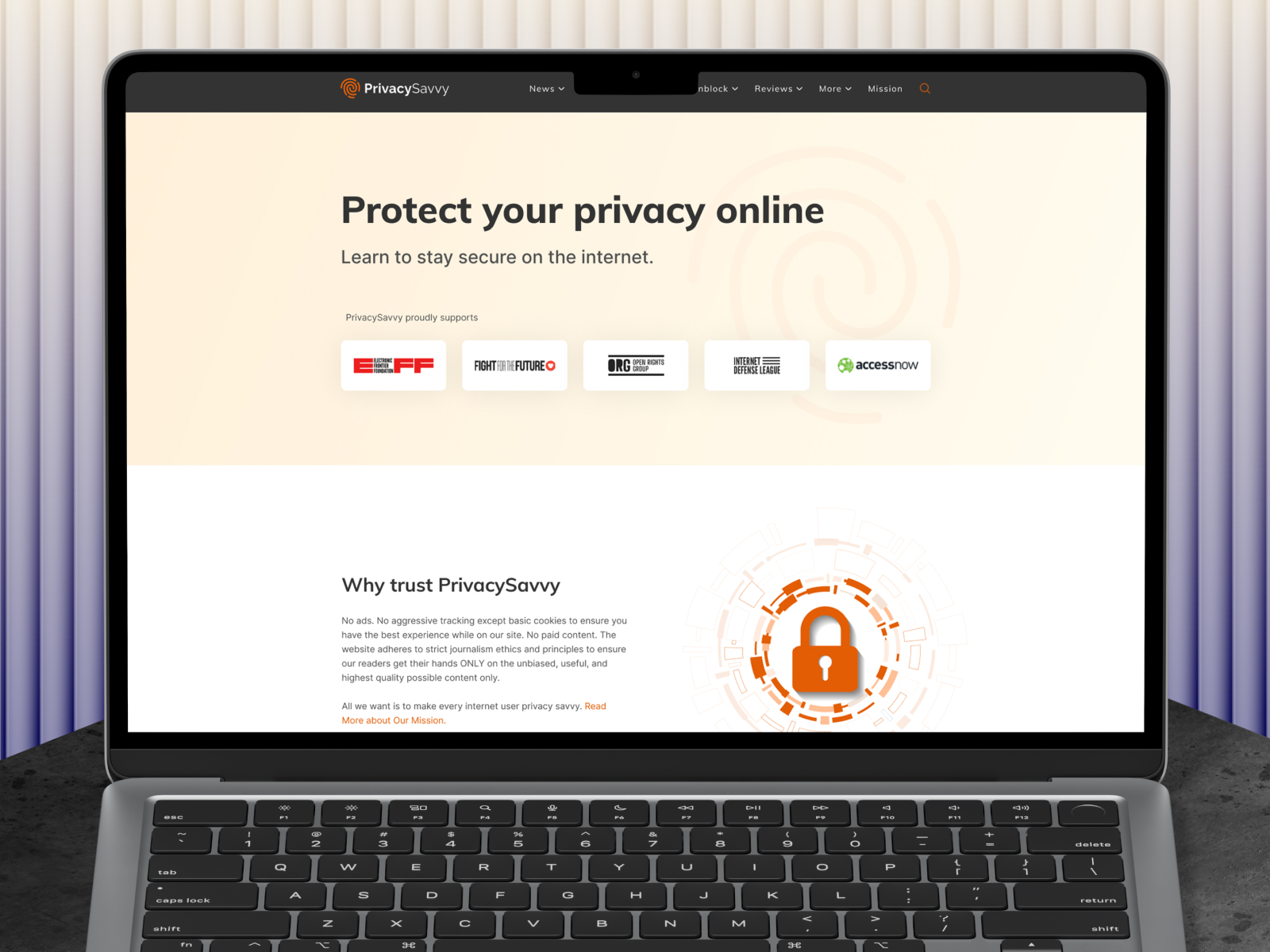 Privacysavvy | Online Privacy & Security Blog Website Design